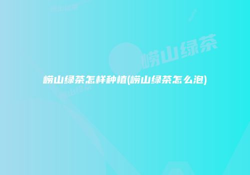 崂山绿茶怎样种植(崂山绿茶怎么泡)
