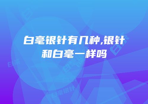 白毫银针有几种,银针和白毫一样吗