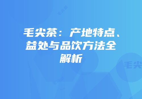 毛尖茶：产地特点、益处与品饮方法全解析