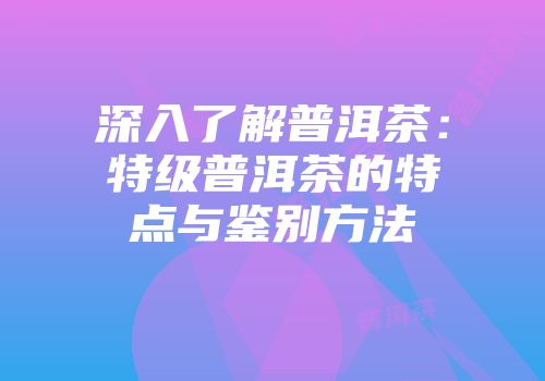 深入了解普洱茶：特级普洱茶的特点与鉴别方法