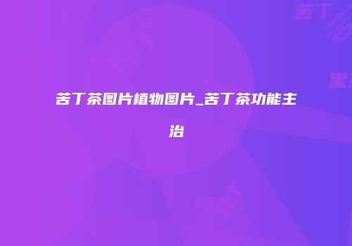 苦丁茶图片植物图片_苦丁茶功能主治