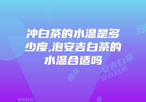 冲白茶的水温是多少度,泡安吉白茶的水温合适吗