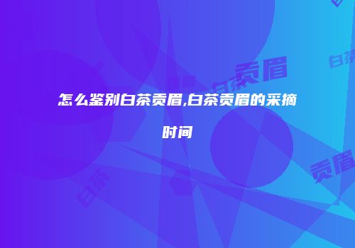 怎么鉴别白茶贡眉,白茶贡眉的采摘时间