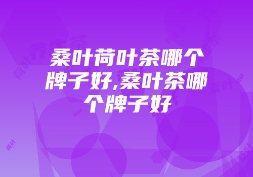 桑叶荷叶茶哪个牌子好,桑叶茶哪个牌子好