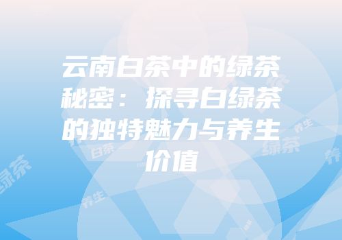 云南白茶中的绿茶秘密：探寻白绿茶的独特魅力与养生价值