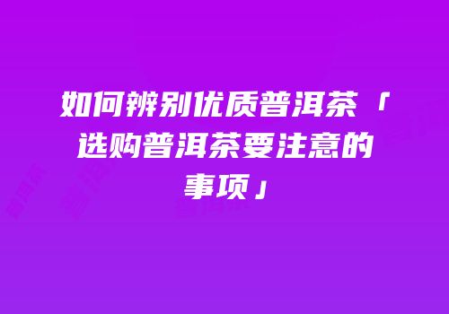 如何辨别优质普洱茶「选购普洱茶要注意的事项」