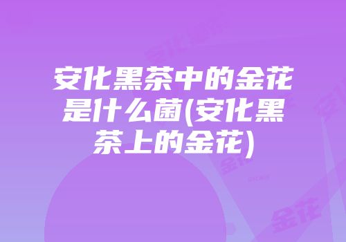 安化黑茶中的金花是什么菌(安化黑茶上的金花)