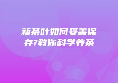 新茶叶如何妥善保存?教你科学养茶