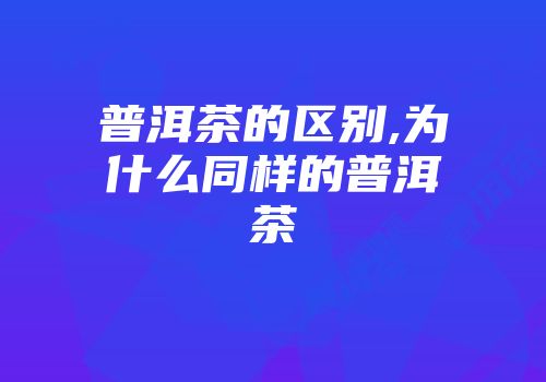 普洱茶的区别,为什么同样的普洱茶