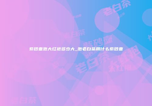 紫砂壶泡大红袍多少大_泡老白茶用什么紫砂壶