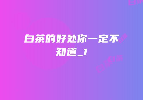 白茶的好处你一定不知道_1