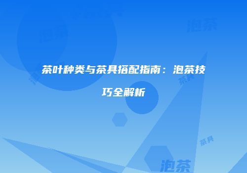 茶叶种类与茶具搭配指南：泡茶技巧全解析