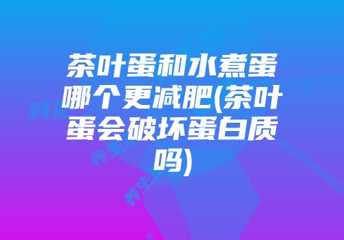 茶叶蛋和水煮蛋哪个更减肥(茶叶蛋会破坏蛋白质吗)