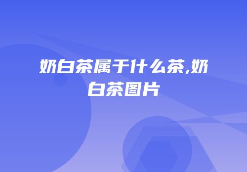 奶白茶属于什么茶,奶白茶图片