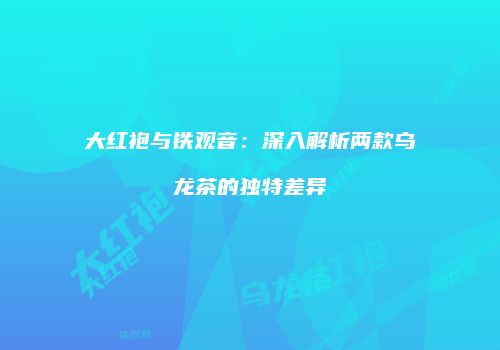 大红袍与铁观音：深入解析两款乌龙茶的独特差异