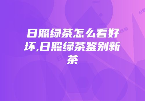 日照绿茶怎么看好坏,日照绿茶鉴别新茶