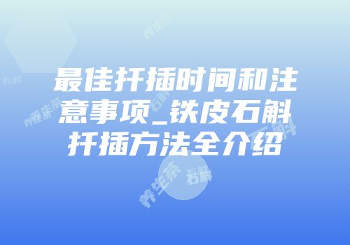 最佳扦插时间和注意事项_铁皮石斛扦插方法全介绍