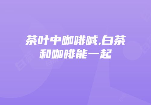 茶叶中咖啡喊,白茶和咖啡能一起