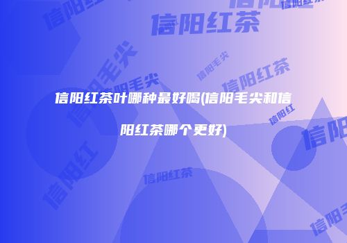 信阳红茶叶哪种最好喝(信阳毛尖和信阳红茶哪个更好)