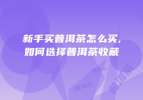 新手买普洱茶怎么买,如何选择普洱茶收藏