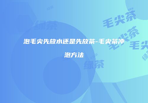泡毛尖先放水还是先放茶-毛尖茶冲泡方法