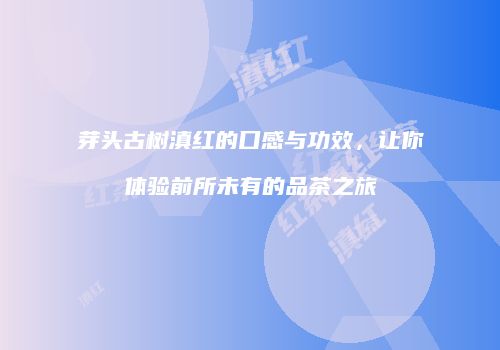 芽头古树滇红的口感与功效，让你体验前所未有的品茶之旅