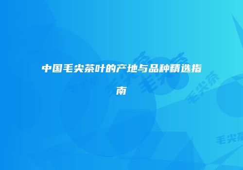 中国毛尖茶叶的产地与品种精选指南