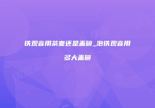 铁观音用茶壶还是盖碗_泡铁观音用多大盖碗