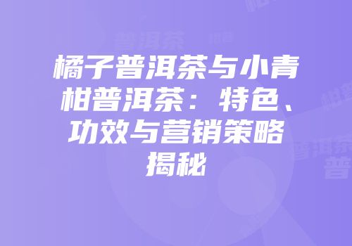 橘子普洱茶与小青柑普洱茶：特色、功效与营销策略揭秘