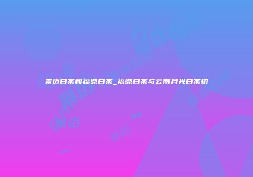 景迈白茶和福鼎白茶_福鼎白茶与云南月光白茶树