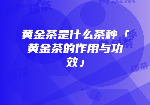 黄金茶是什么茶种「黄金茶的作用与功效」