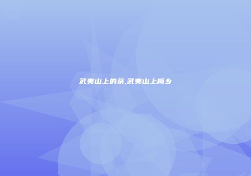 武夷山上的茶,武夷山上梅乡