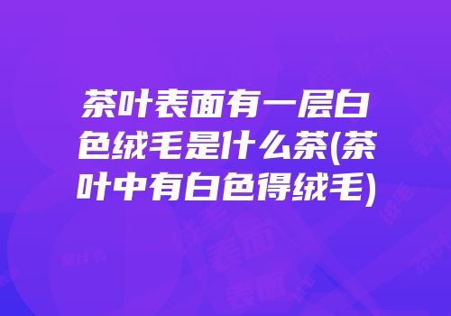 茶叶表面有一层白色绒毛是什么茶(茶叶中有白色得绒毛)
