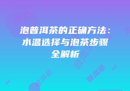 泡普洱茶的正确方法：水温选择与泡茶步骤全解析