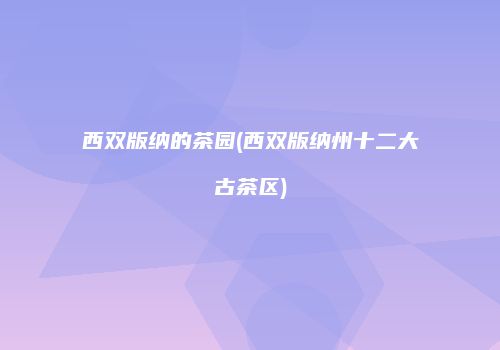 西双版纳的茶园(西双版纳州十二大古茶区)