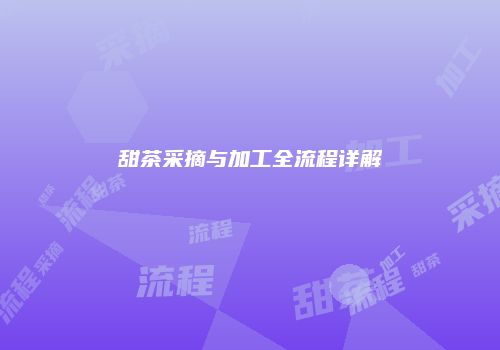 甜茶采摘与加工全流程详解