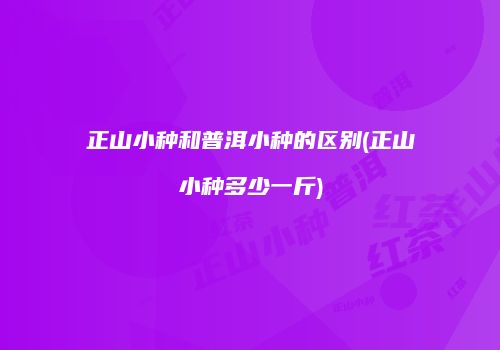 正山小种和普洱小种的区别(正山小种多少一斤)
