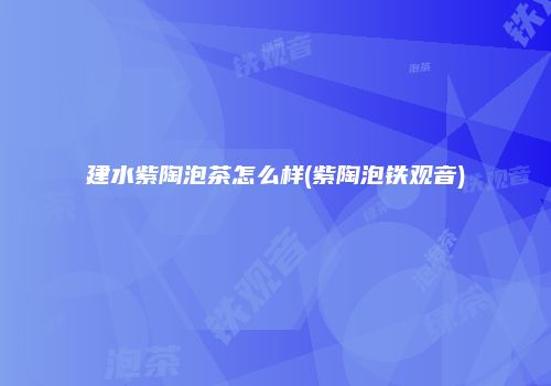 建水紫陶泡茶怎么样(紫陶泡铁观音)