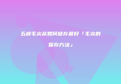 五峰毛尖茶如何储存最好「毛尖的保存方法」