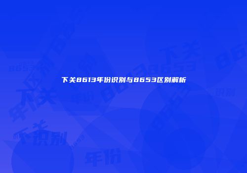 下关8613年份识别与8653区别解析