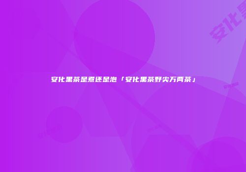 安化黑茶是煮还是泡「安化黑茶野尖万两茶」