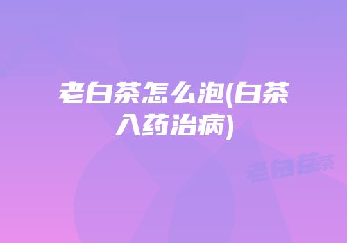 老白茶怎么泡(白茶入药治病)
