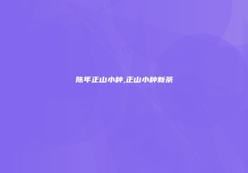 陈年正山小种,正山小种新茶