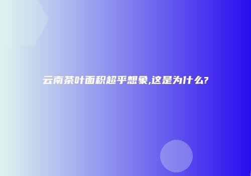 云南茶叶面积超乎想象,这是为什么?
