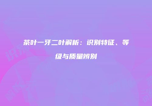 茶叶一牙二叶解析：识别特征、等级与质量辨别