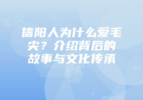 信阳人为什么爱毛尖？介绍背后的故事与文化传承