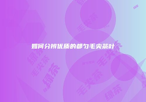 如何分辨优质的都匀毛尖茶叶