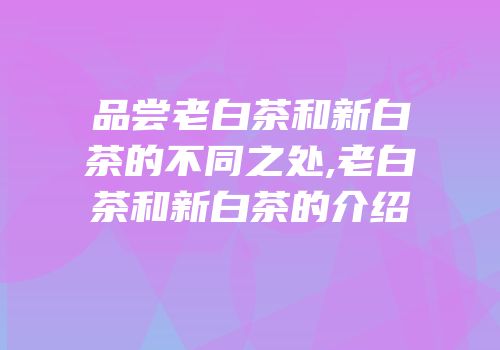 品尝老白茶和新白茶的不同之处,老白茶和新白茶的介绍