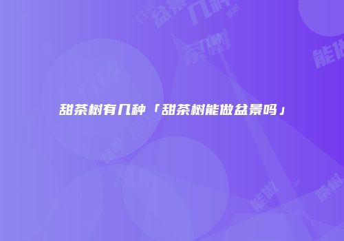甜茶树有几种「甜茶树能做盆景吗」