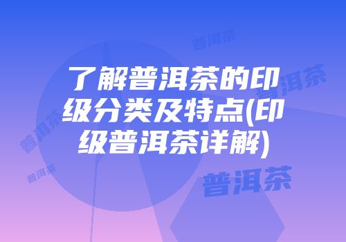 了解普洱茶的印级分类及特点(印级普洱茶详解)